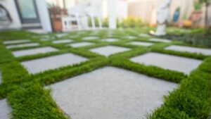 grass driveway