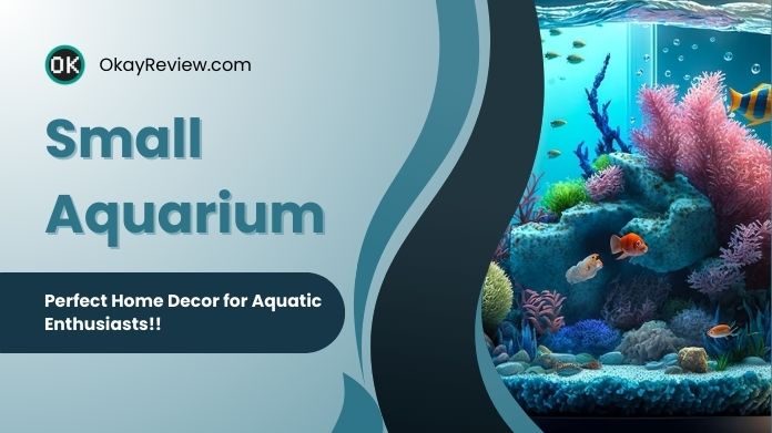 small aquarium