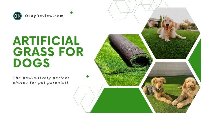 artificial grass for dogs