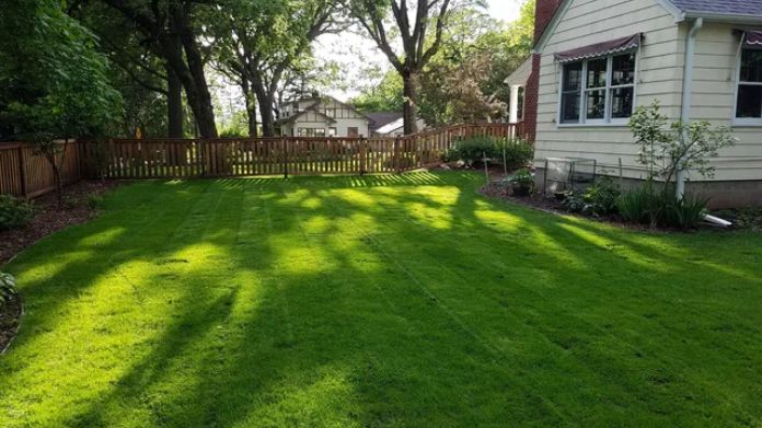 lawn dethatching