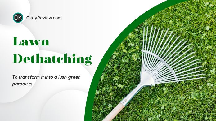 lawn dethatching