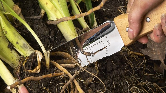 How To Remove Roots Hori Hori Knife: 6 Legit Reasons Why Every Gardener Needs It