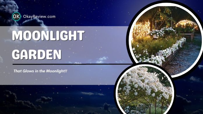 moonlight garden