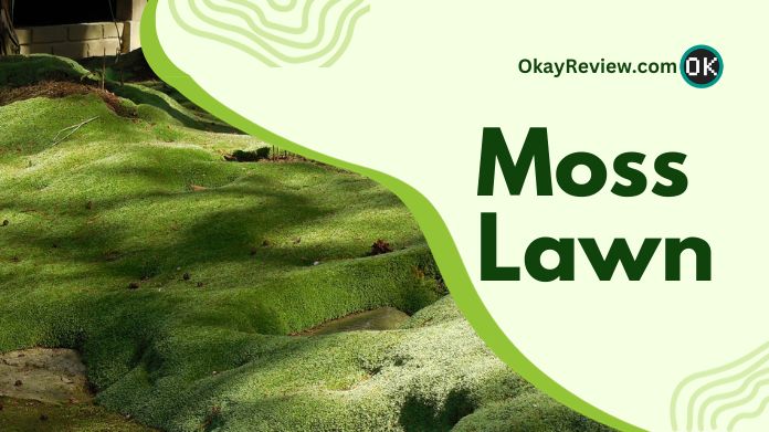 moss lawn