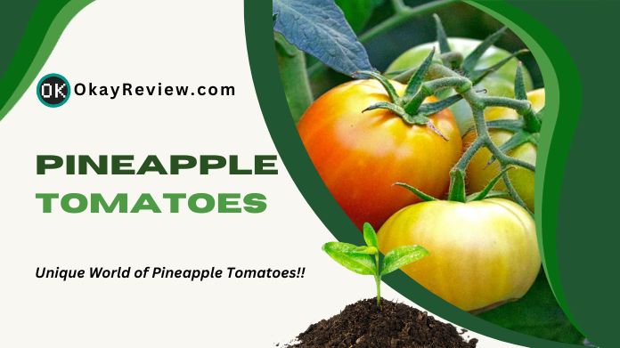 pineapple tomatoes