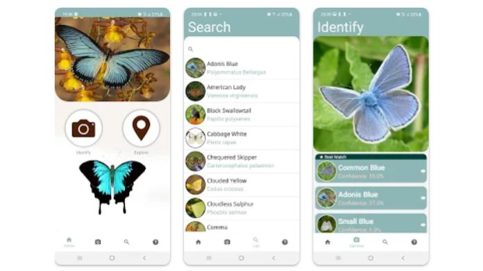 insect identification app