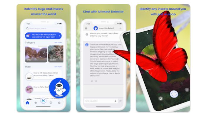 insect identification app