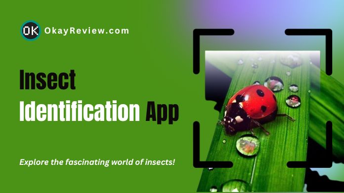 insect identification app