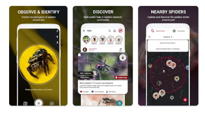 insect identification app