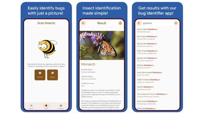 insect identification app