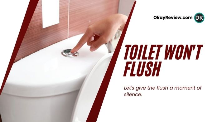 toilet won't flush