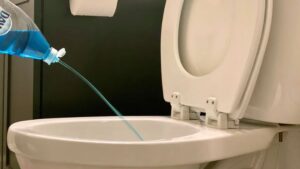 toilet won't flush
