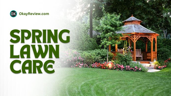 spring lawn care