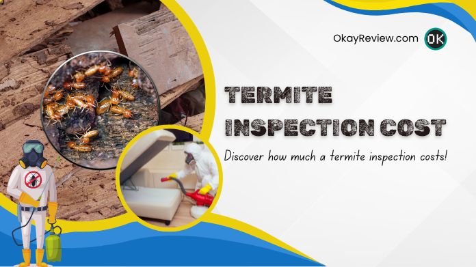 termite inspection cost