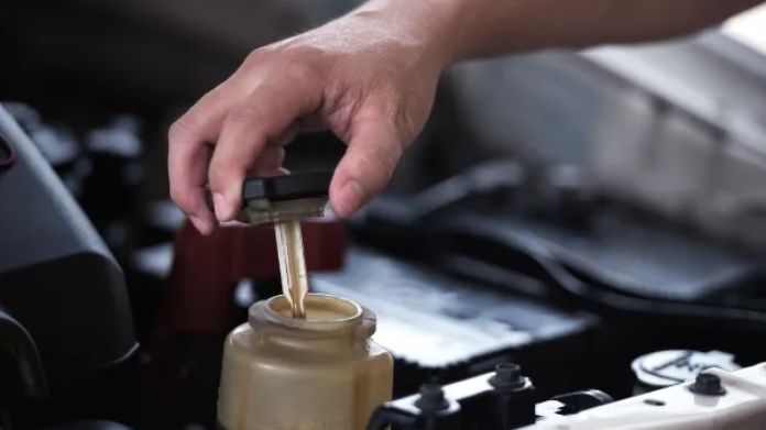 check power steering fluid