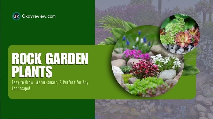 rock garden plants