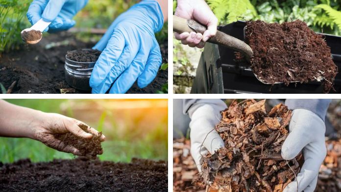 loam soil