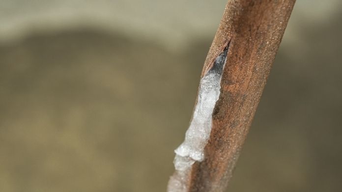 frozen pipes