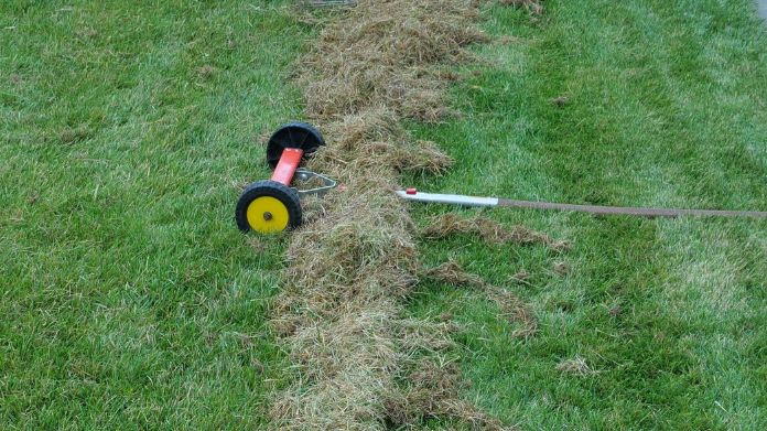 kill bermuda grass