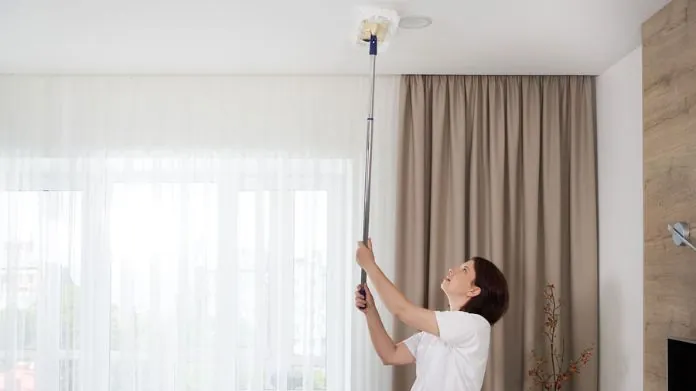 water stains on ceilings